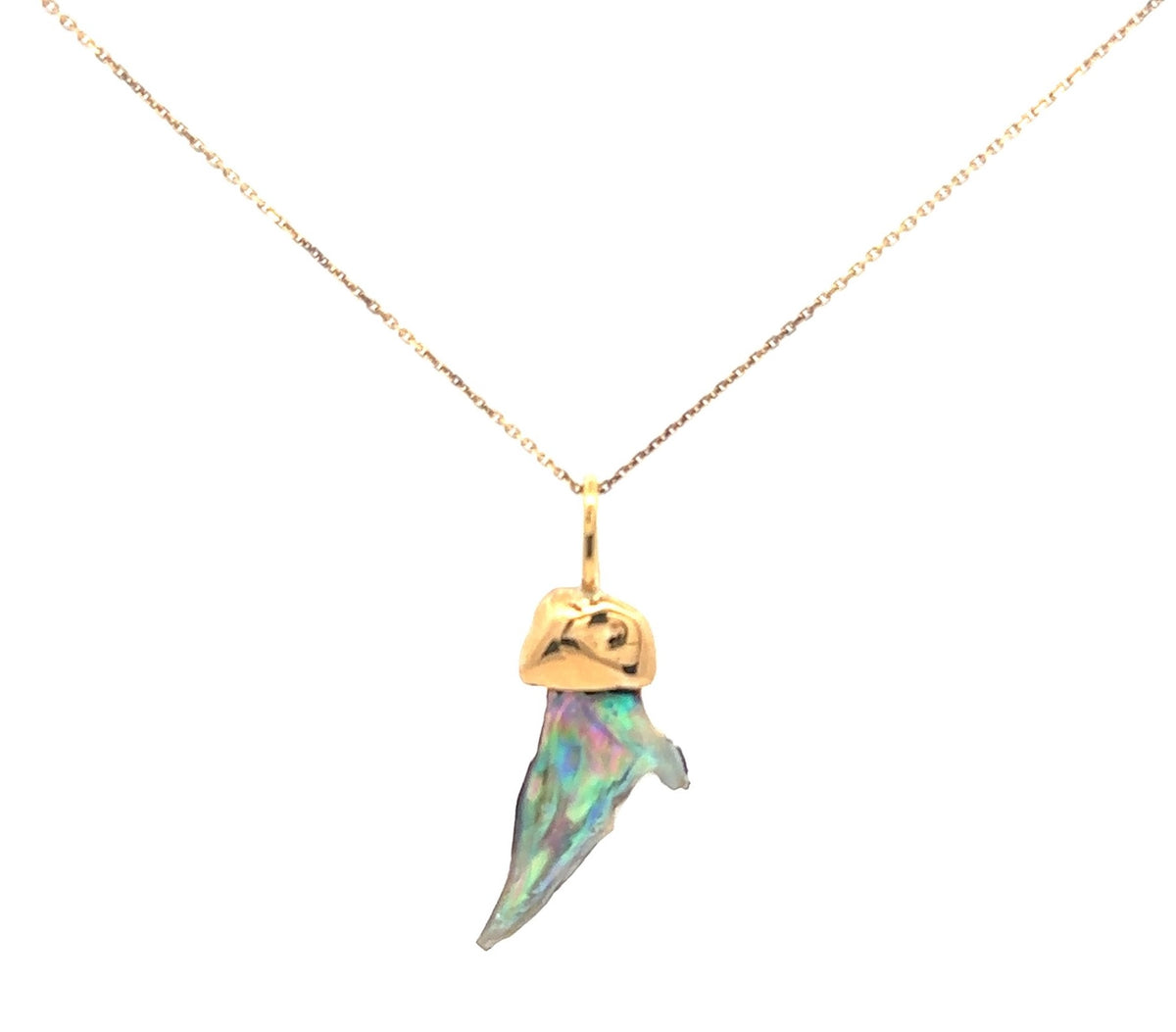 14KY Gold, 2.63ct Abalone Pearl Bail cap with 14KY Gold 18-inch-long chain Necklace – front view
